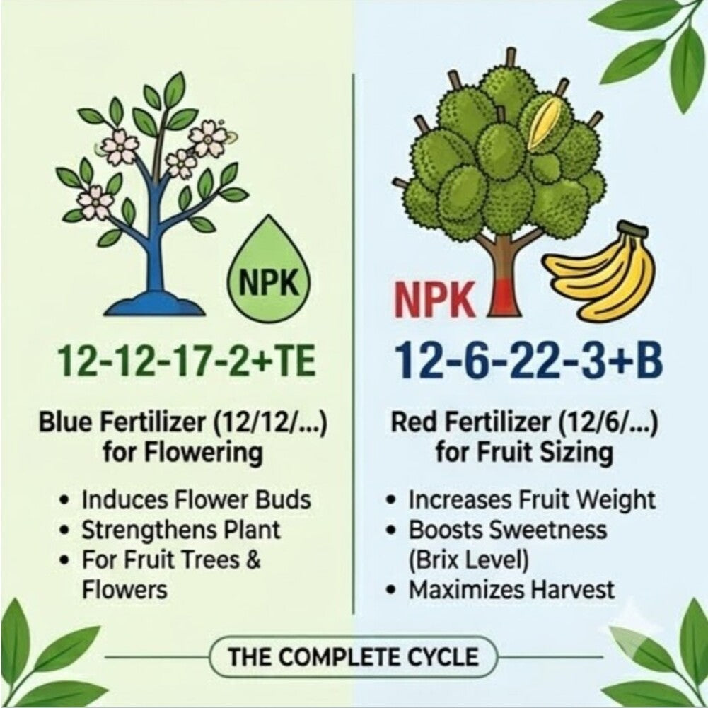 [REPACK] Hornbill Superb N 12-12-17-2+TE Premium Fertilizer | Baja Bunga & Buah | High Potassium 1kg